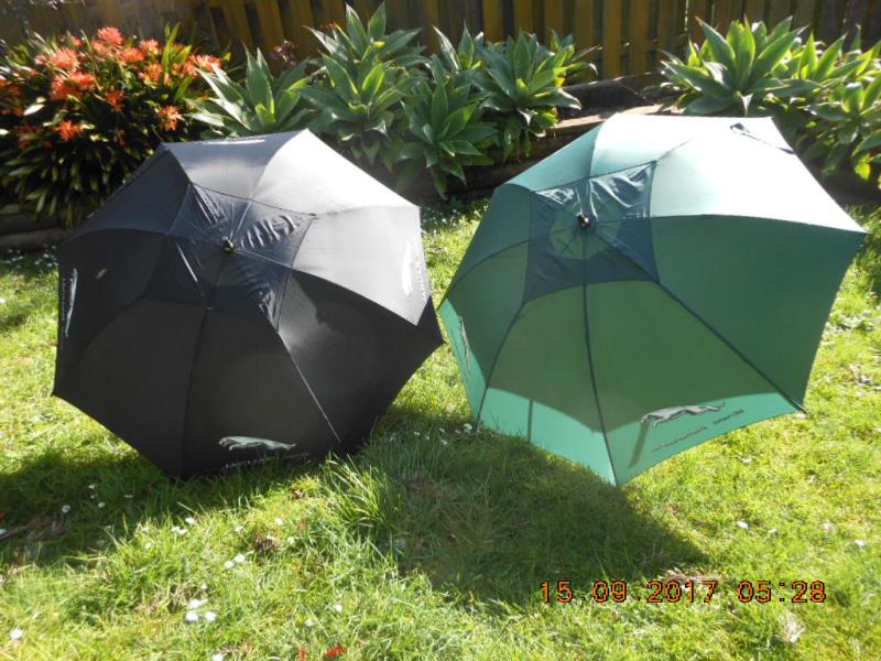 Full size image of Umbrella - Black and Silver